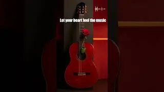 Let Your Heart Feel the Music | Flamenco Guitar #Shorts
