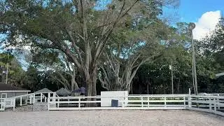 CF Special Needs Therapeutic Horseback Riding - Nov 2025 - Goodbye