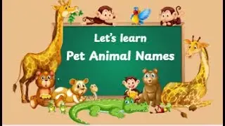 Pet Animal Names in English | Nachare Mora