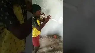 Tamil Boys Local Music Talent