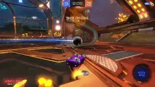 RL Sea Turtle Clip