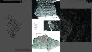 15,800-year-old Ice Age engravings reveal earliest depictions of fish trapping