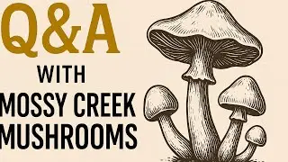 Soil, Self-Sufficiency & Mushrooms | Post&ndash;Survival Podcast Q&A | Jan 15th, 5 PM EST