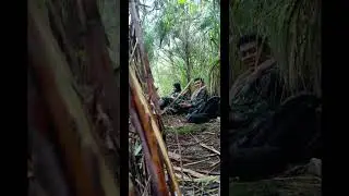 SENJATA SNIPER TNI SPR2 PINDAD KAL.12,7mm‼️#shorts#shortsvidio
