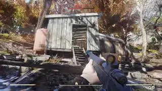 Fallout 76 - Going Overkill on them Nasty Ticks