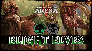 MORCANT DARK ELF | MTG Arena Golgari Elves Blight Combo LORWYN ECLIPSED Standard Deck