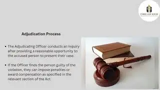 Section 46  Power to adjudicate