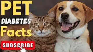 Pet Diabetes Explained | Lifelong Care for Dogs & Cats⚠️🐾