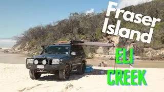 FRASER ISLAND/ELI CREEK #fraserisland #elicreek #kingfisherbay