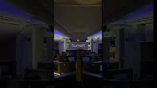 Cabin Lights
