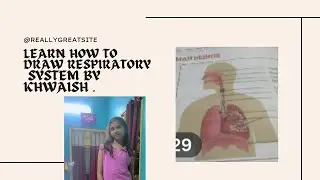 Drawing of respiratory system 💕💕