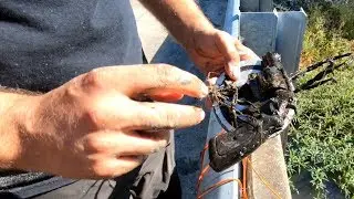 Found Gun (Murder Weapon) Magnet Fishing | Police Called