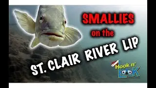 How to Find Smallies on the St  Clair River Lip