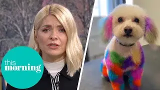 Dog Groomer Criticised For Dyeing Dog Hair Bright Colours | This Morning