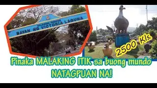 Kwento at Kasaysayan ng VICTORIA LAGUNA
