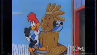 PICA PAU FALANDO MEIOIOU (melhorou)