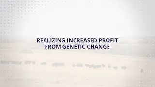 USLGE | Beef | Realizing Increased Profit from Genetic Change in Beef Cattle (English)