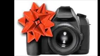 Bidding Sites   Which one is the Best