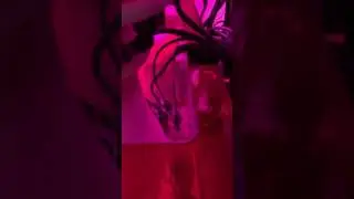 Red Sea e260 trigger ruby 30 saltwater fish tank
