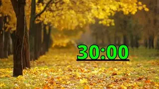 🍂 30 minute timer Autumn Fall with relaxation music 4K  - Timers Vibe