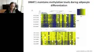 Kathryn Wellen - Metabolic reprogramming links to the epigenome