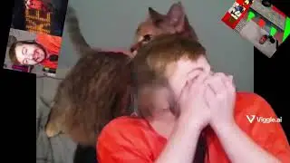 Senlac employee mugged by cat (Minitom AI)