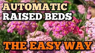 Automation, Companion Planting, and Wood Chips will make GARDENING EASY!