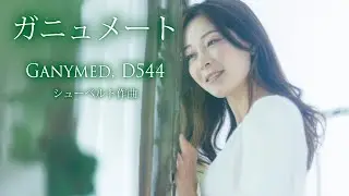 神の王に愛され、天に連れて行かれた美少年。「ガニュメート」シューベルト作曲