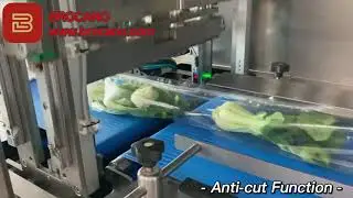 Brocano&trade; Vegetable Flow Pack Machine 蔬菜包装机