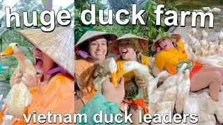 BECOMING A DUCK LEADER VLOG | huge duck farm in phong nha vietnman
