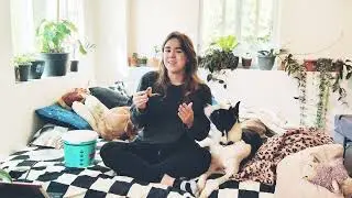 Boost Your Dog&rsquo;s Meals with Dehydrated & Freeze-Dried Toppers | Benefits You Should Know