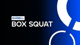 Barbell Box Squat