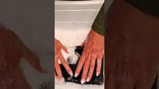 ASMR  Rinse   #asmr #asmrsponge #satisfying #spongesqueeze #suds