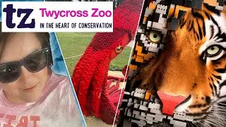 Twycross zoo | Animal Bricktacular event vlog