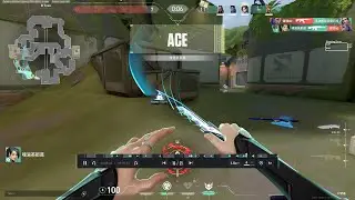 Sage Ugly ACE