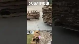 Zoysia Sod Installation