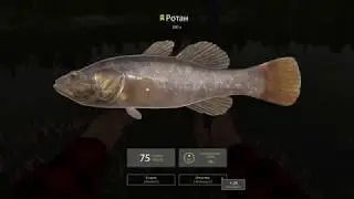 Ротан на червя • Russian Fishing 4