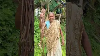 Grandma&rsquo;s Hidden Recipe with Taro Stems | Authentic Village Cooking #shorts #cooking #recipe