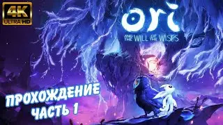 Прохождение Ori and The Will of the Wisps 01 [4K 60FPS]