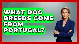 What Dog Breeds Come From Portugal? - Exploring Southwest Europe