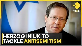 UK Says Israel Not Committing Genocide In Gaza, But Casualties Are 'Utterly Appalling' | WION