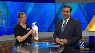 Summer fun at the Omaha zoo