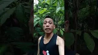#hugotpamore #fypviralvideo2025