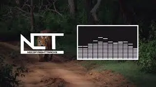 Hreez - Mellowcat [Ninety9 Lives / NCT Release]