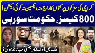 Stray Dog Attacks in Karachi | Heartbreaking Incidents | Public Alert | Suno Pakistan 765