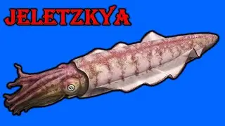 Jeletzkya