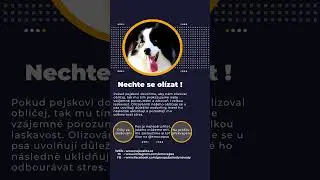 Nechte se ol&iacute;zat - pejskovi odbour&aacute;te stres #vycvikpsa