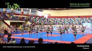 Club ESADE Elche. Baile fin de curso 2018. Fit Kid