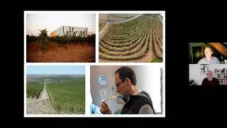 Trink F&uuml;nf - F&uuml;nf spannende Weine aus Spanien.