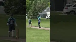 Timber! The sound every bowler loves🚀 #StumpsGone #PaceAttack